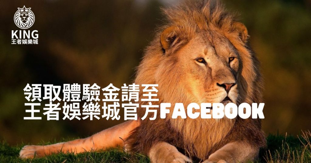 TU娛樂城體驗金facebook